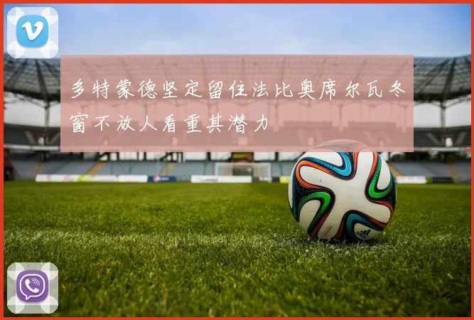 多特蒙德坚定留住法比奥席尔瓦冬窗不放人看重其潜力