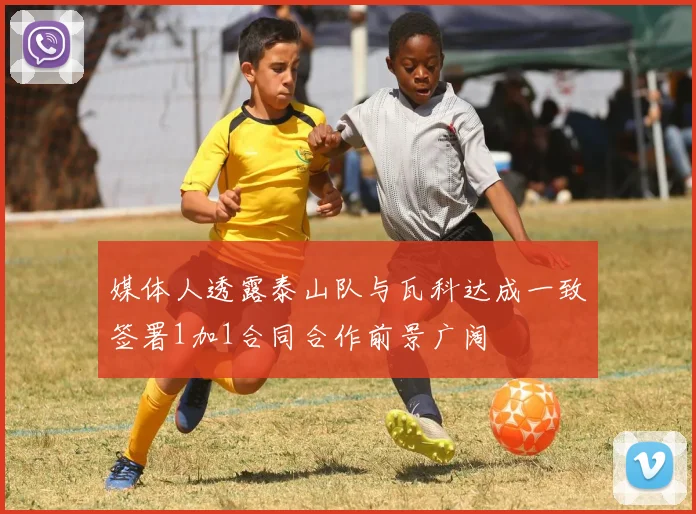 媒体人透露泰山队与瓦科达成一致签署1加1合同合作前景广阔