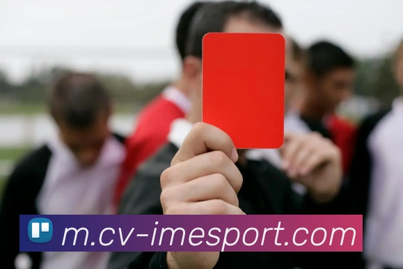 IM电竞平台生态图